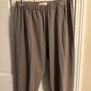 Aritzia Babaton Dexter Pants M